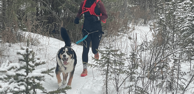 Gear Up for Winter Running: Essentials for You and Your Dog