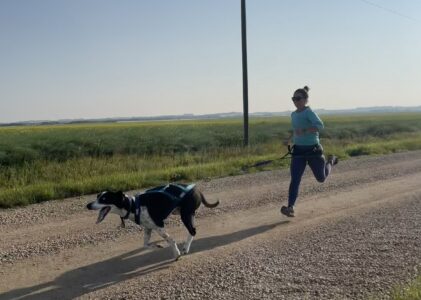 Running Canicross with Your Dog: A Win-Win for Both You and Your Dog