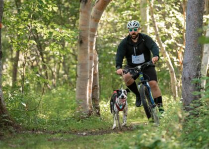 Bikejoring: The Thrilling Sport that Puts a Spin on biking with your dog