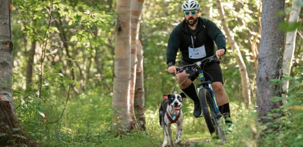 Bikejoring: The Thrilling Sport that Puts a Spin on biking with your dog