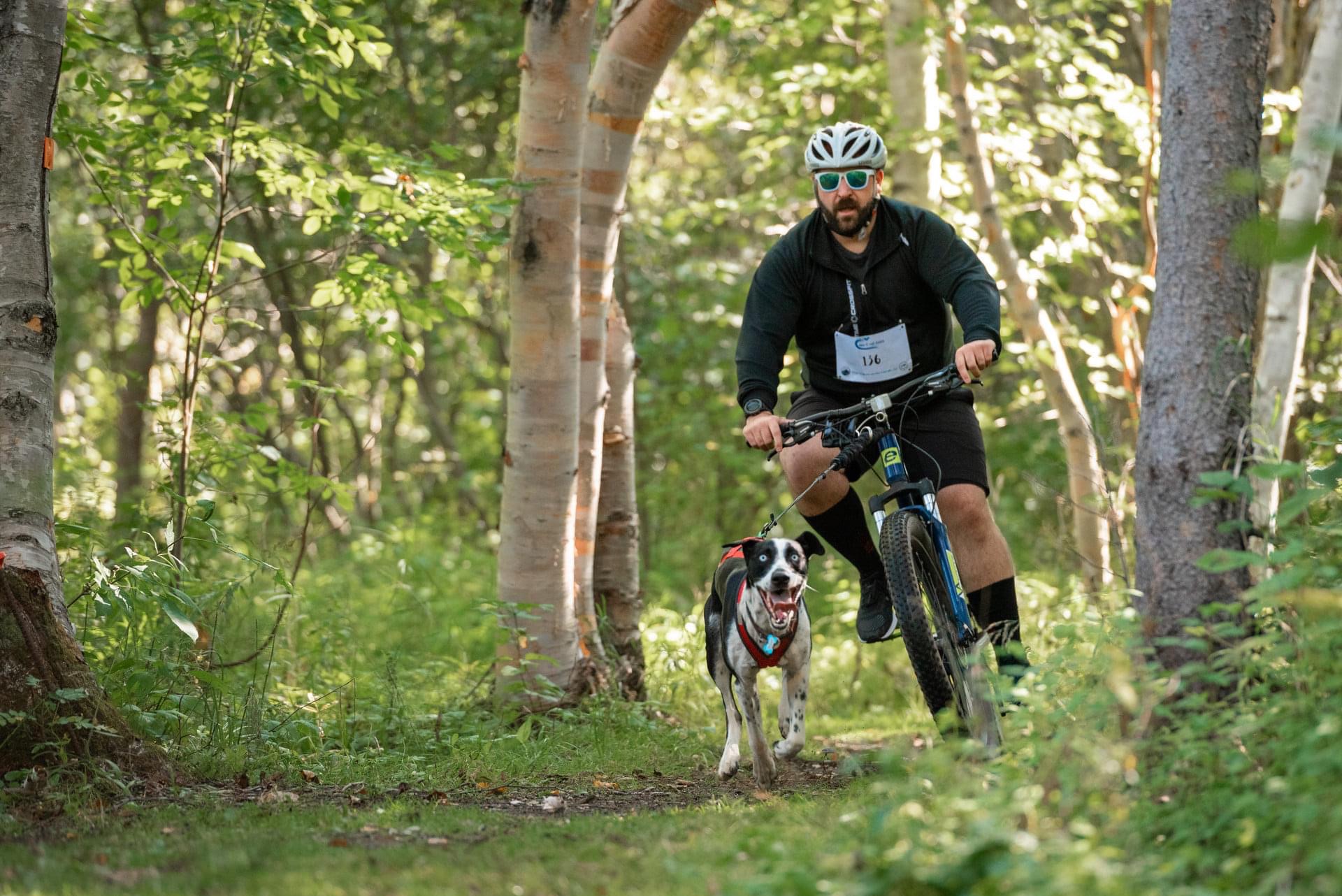 Bikejoring: The Thrilling Sport that Puts a Spin on biking with your dog