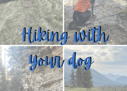 Must-Haves for Hiking Adventures