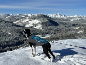 Niko with mountain