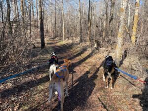 3 boys on trail (1)